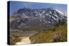 Wildflowers Trail, Mount Saint Helens Volcano National Park, Washington State-William Perry-Stretched Canvas