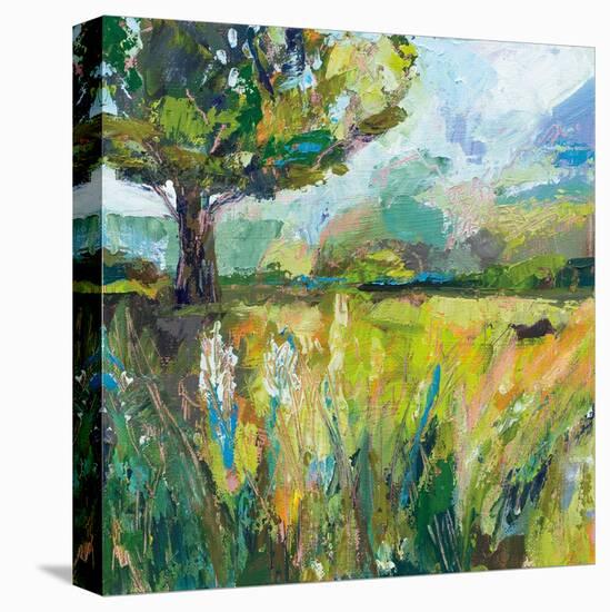 Wildflowers v2-Jeanette Vertentes-Stretched Canvas
