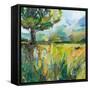 Wildflowers v2-Jeanette Vertentes-Framed Stretched Canvas
