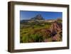 Wildflowers with Mount Reynolds, Logan Pass, Glacier National Park, Montana, USA-Chuck Haney-Framed Photographic Print