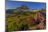 Wildflowers with Mount Reynolds, Logan Pass, Glacier National Park, Montana, USA-Chuck Haney-Mounted Photographic Print