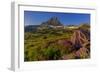 Wildflowers with Mount Reynolds, Logan Pass, Glacier National Park, Montana, USA-Chuck Haney-Framed Photographic Print