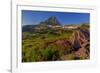 Wildflowers with Mount Reynolds, Logan Pass, Glacier National Park, Montana, USA-Chuck Haney-Framed Photographic Print