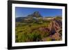 Wildflowers with Mount Reynolds, Logan Pass, Glacier National Park, Montana, USA-Chuck Haney-Framed Photographic Print