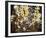 Wildflowers-Tom Thomson-Framed Giclee Print