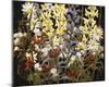 Wildflowers-Tom Thomson-Mounted Giclee Print