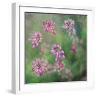 Wildflowers-Viviane Fedieu Daniel-Framed Photographic Print