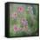 Wildflowers-Viviane Fedieu Daniel-Framed Stretched Canvas