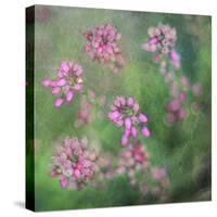 Wildflowers-Viviane Fedieu Daniel-Stretched Canvas