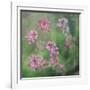 Wildflowers-Viviane Fedieu Daniel-Framed Premium Photographic Print