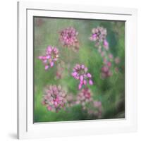 Wildflowers-Viviane Fedieu Daniel-Framed Photographic Print