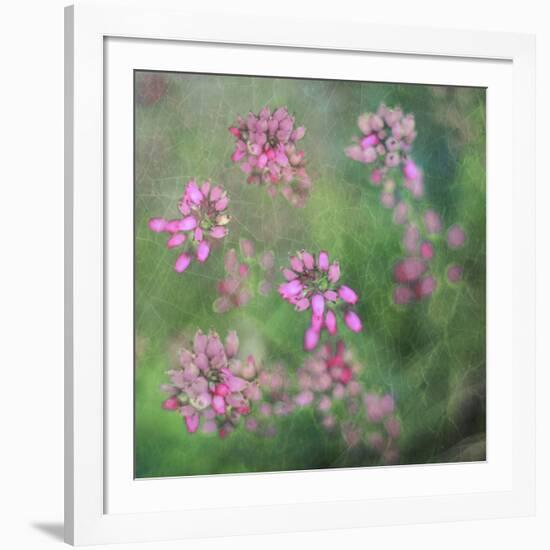 Wildflowers-Viviane Fedieu Daniel-Framed Photographic Print