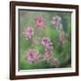 Wildflowers-Viviane Fedieu Daniel-Framed Photographic Print