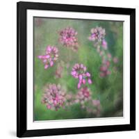 Wildflowers-Viviane Fedieu Daniel-Framed Photographic Print