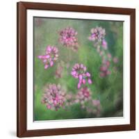 Wildflowers-Viviane Fedieu Daniel-Framed Photographic Print