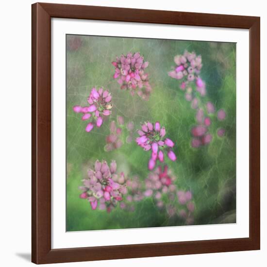 Wildflowers-Viviane Fedieu Daniel-Framed Photographic Print