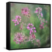 Wildflowers-Viviane Fedieu Daniel-Framed Stretched Canvas