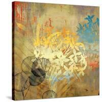 Wildflowers-Andrew Michaels-Stretched Canvas