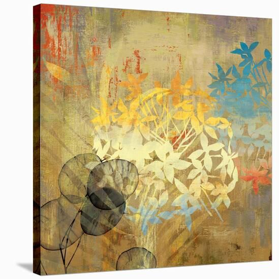 Wildflowers-Andrew Michaels-Stretched Canvas