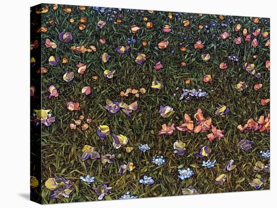 Wildflowers-James W. Johnson-Stretched Canvas