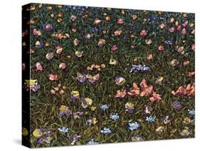 Wildflowers-James W. Johnson-Stretched Canvas