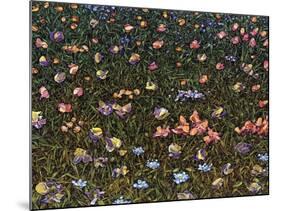 Wildflowers-James W. Johnson-Mounted Giclee Print