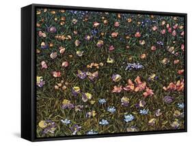 Wildflowers-James W. Johnson-Framed Stretched Canvas