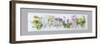 Wildflowers-Rhonda Addison-Framed Photo