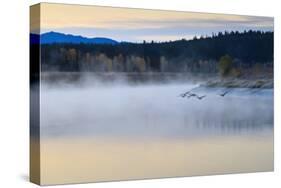 Wildfowl in Flight over Snake River Surrounded by a Cold Dawn Mist in Autumn (Fall)-Eleanor Scriven-Stretched Canvas