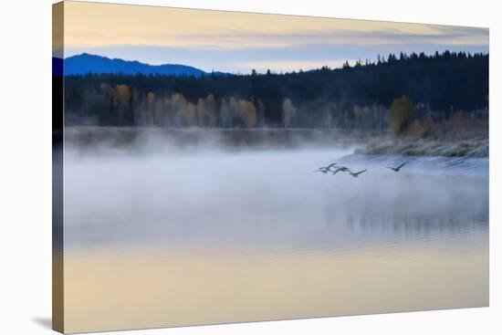 Wildfowl in Flight over Snake River Surrounded by a Cold Dawn Mist in Autumn (Fall)-Eleanor Scriven-Stretched Canvas