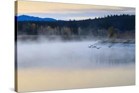 Wildfowl in Flight over Snake River Surrounded by a Cold Dawn Mist in Autumn (Fall)-Eleanor Scriven-Stretched Canvas