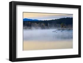 Wildfowl in Flight over Snake River Surrounded by a Cold Dawn Mist in Autumn (Fall)-Eleanor Scriven-Framed Photographic Print