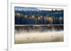 Wildfowl on Snake River Surrounded by a Cold Dawn Mist in Autumn (Fall)-Eleanor Scriven-Framed Photographic Print