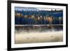 Wildfowl on Snake River Surrounded by a Cold Dawn Mist in Autumn (Fall)-Eleanor Scriven-Framed Photographic Print