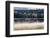 Wildfowl on Snake River Surrounded by a Cold Dawn Mist in Autumn (Fall)-Eleanor Scriven-Framed Photographic Print