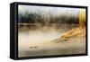 Wildfowl on Snake River Surrounded by a Cold Dawn Mist-Eleanor-Framed Stretched Canvas