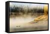 Wildfowl on Snake River Surrounded by a Cold Dawn Mist-Eleanor-Framed Stretched Canvas