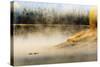 Wildfowl on Snake River Surrounded by a Cold Dawn Mist-Eleanor-Stretched Canvas