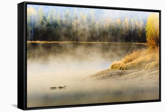 Wildfowl on Snake River Surrounded by a Cold Dawn Mist-Eleanor-Framed Stretched Canvas