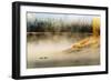 Wildfowl on Snake River Surrounded by a Cold Dawn Mist-Eleanor-Framed Photographic Print