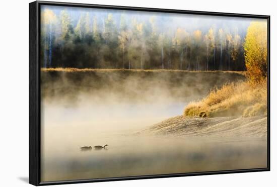 Wildfowl on Snake River Surrounded by a Cold Dawn Mist-Eleanor-Framed Photographic Print