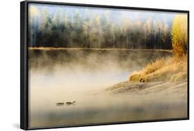 Wildfowl on Snake River Surrounded by a Cold Dawn Mist-Eleanor-Framed Photographic Print