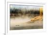 Wildfowl on Snake River Surrounded by a Cold Dawn Mist-Eleanor-Framed Photographic Print