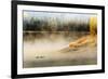 Wildfowl on Snake River Surrounded by a Cold Dawn Mist-Eleanor-Framed Photographic Print