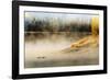 Wildfowl on Snake River Surrounded by a Cold Dawn Mist-Eleanor-Framed Photographic Print