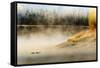 Wildfowl on Snake River Surrounded by a Cold Dawn Mist-Eleanor-Framed Stretched Canvas