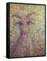 Wildgoat-James W. Johnson-Framed Stretched Canvas