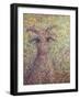 Wildgoat-James W. Johnson-Framed Giclee Print