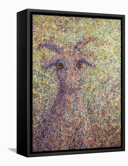 Wildgoat-James W. Johnson-Framed Stretched Canvas