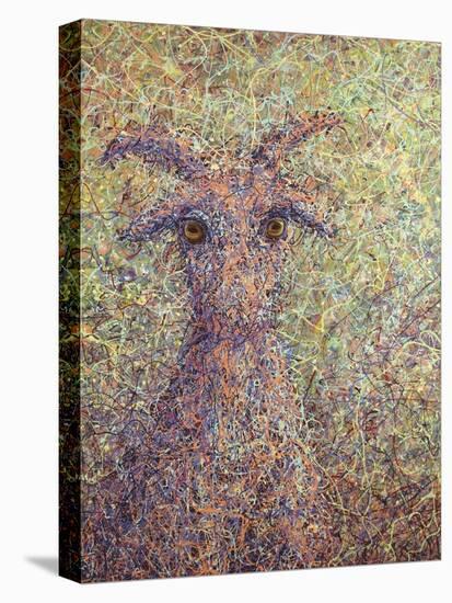 Wildgoat-James W. Johnson-Stretched Canvas